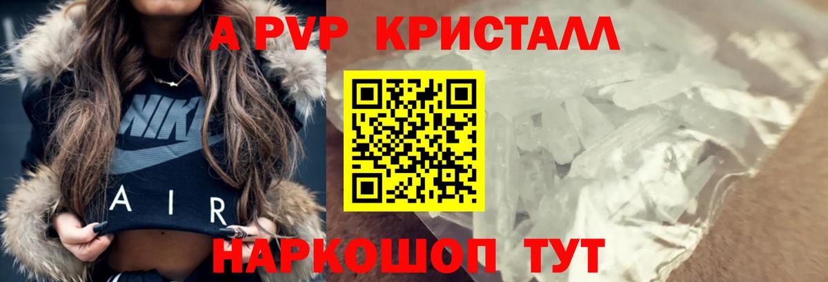 A-PVP СК КРИС Воркута