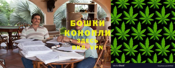 амф Болотное