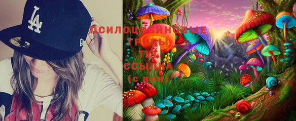 каннабис Бородино