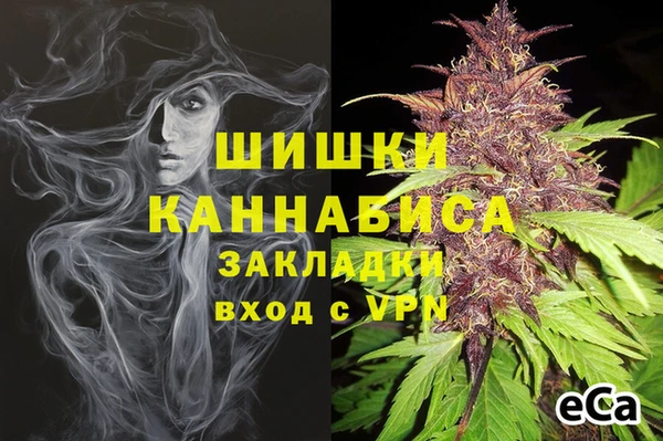скорость Бронницы
