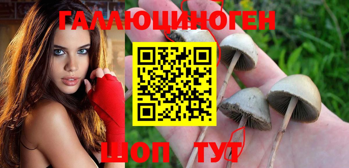 Галлюциногенные грибы Cubensis Воркута